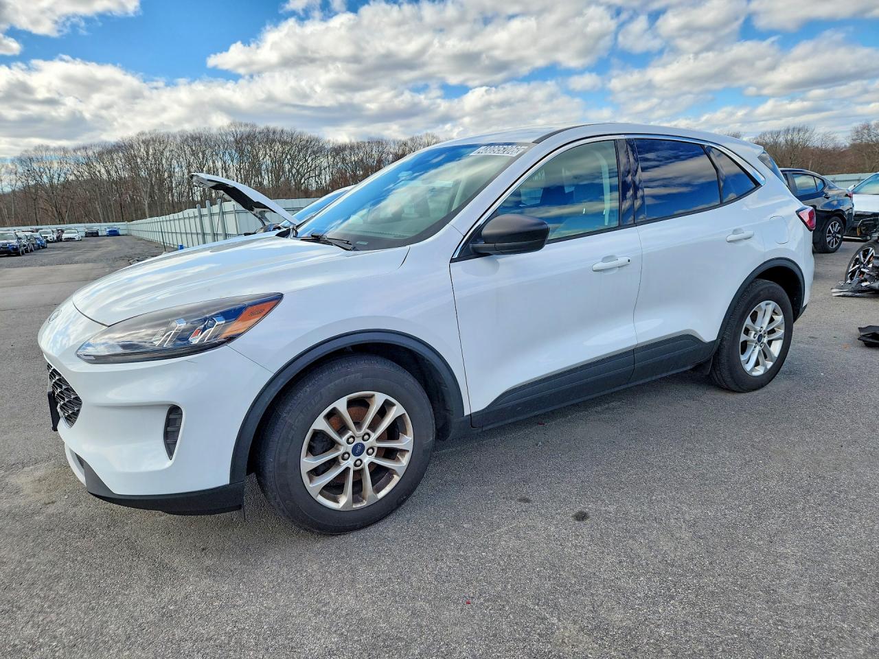 Salvage Ford Escape Image