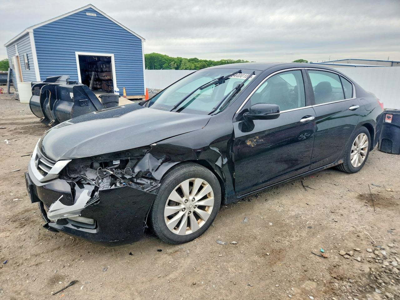 Salvage Honda Accord Image
