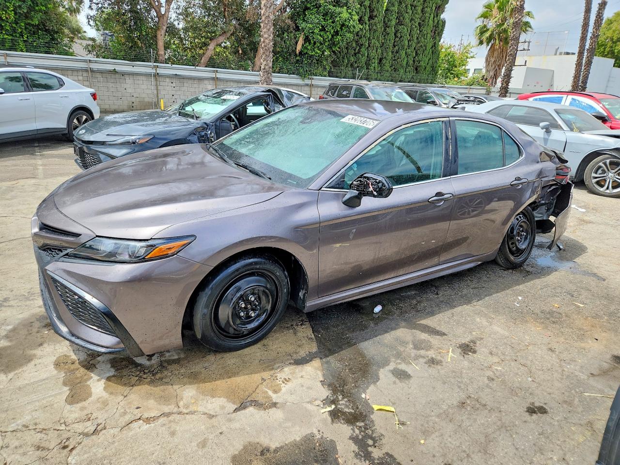 Salvage Toyota Camry Image