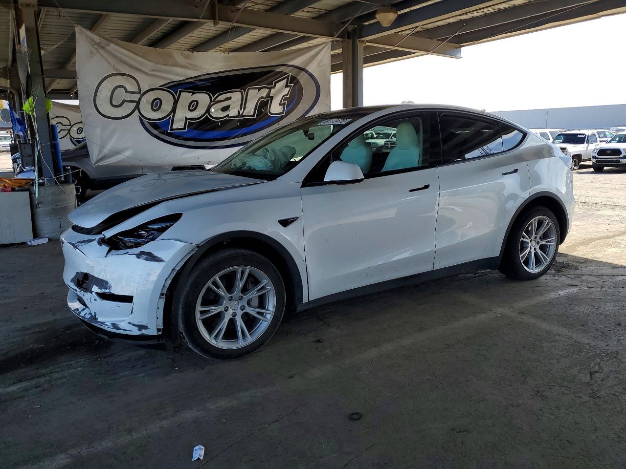 Salvage Tesla Model Y Image