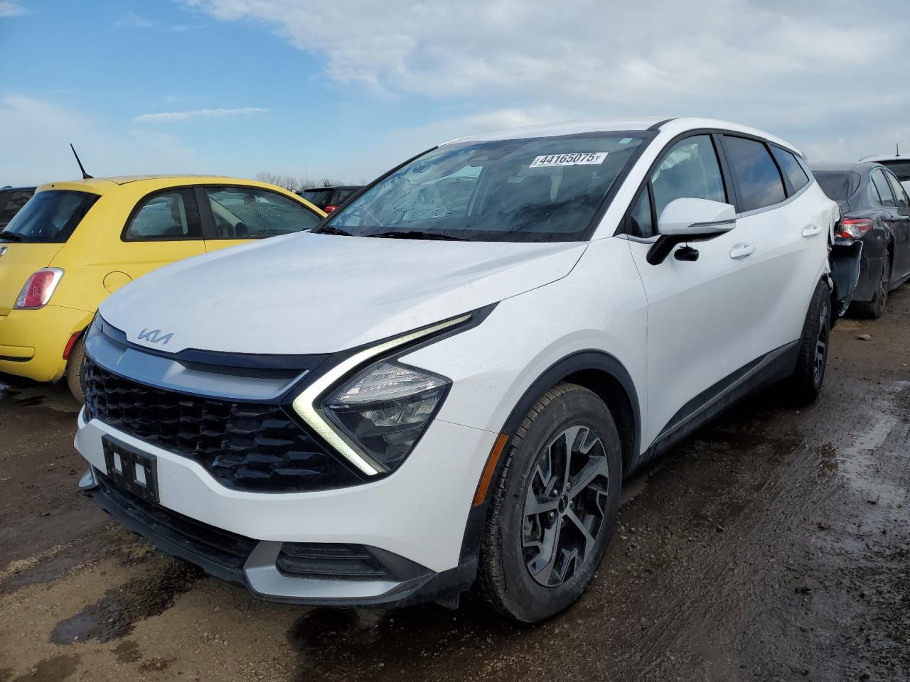 Salvage Kia Sportage Image