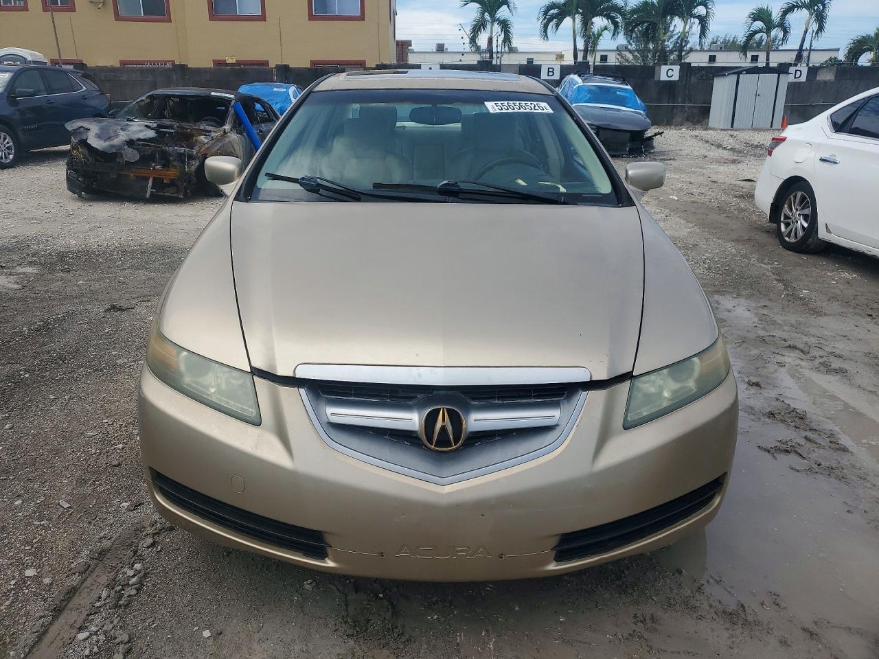 Acura TL