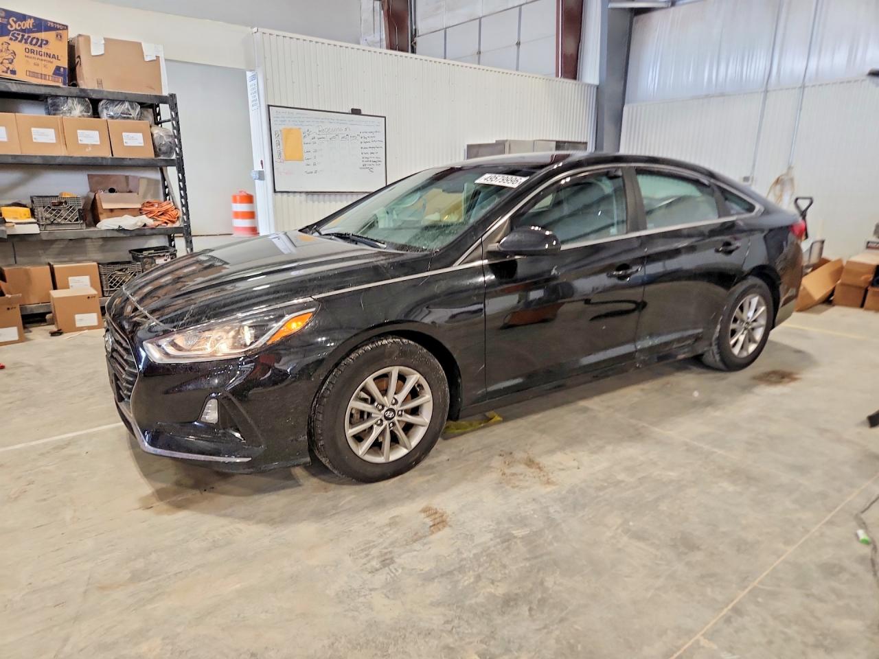 Salvage Hyundai SONATA Image