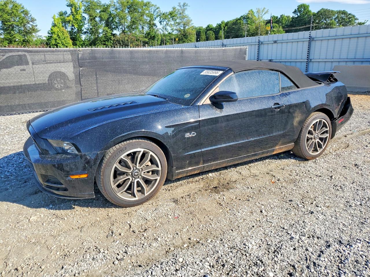 Salvage Ford Mustang Image