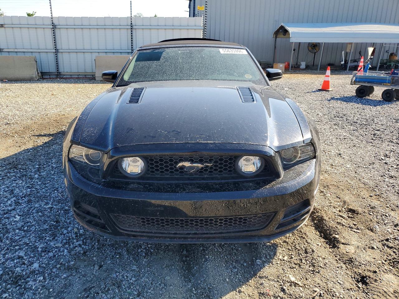 Ford Mustang Gt