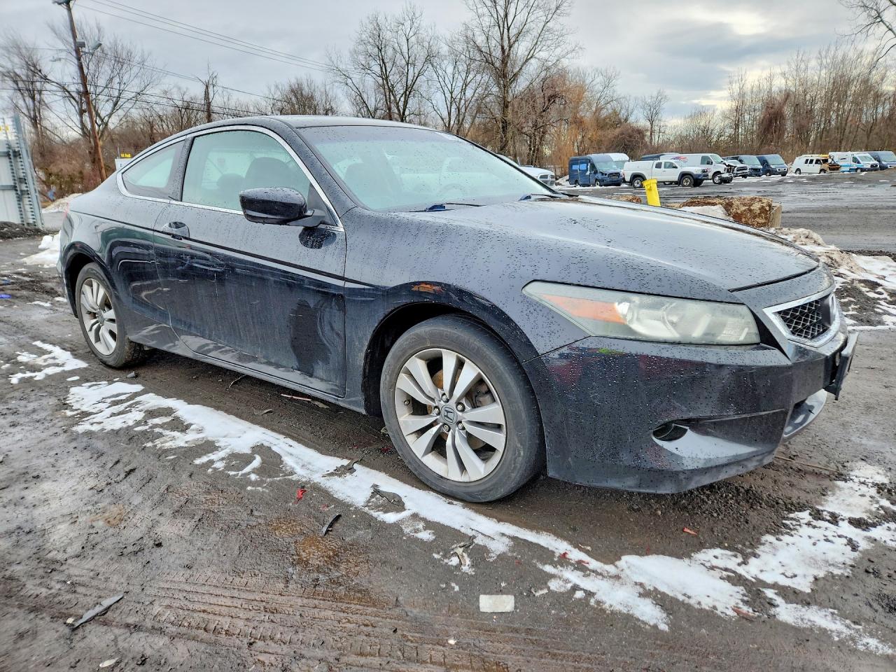 Honda Accord Exl