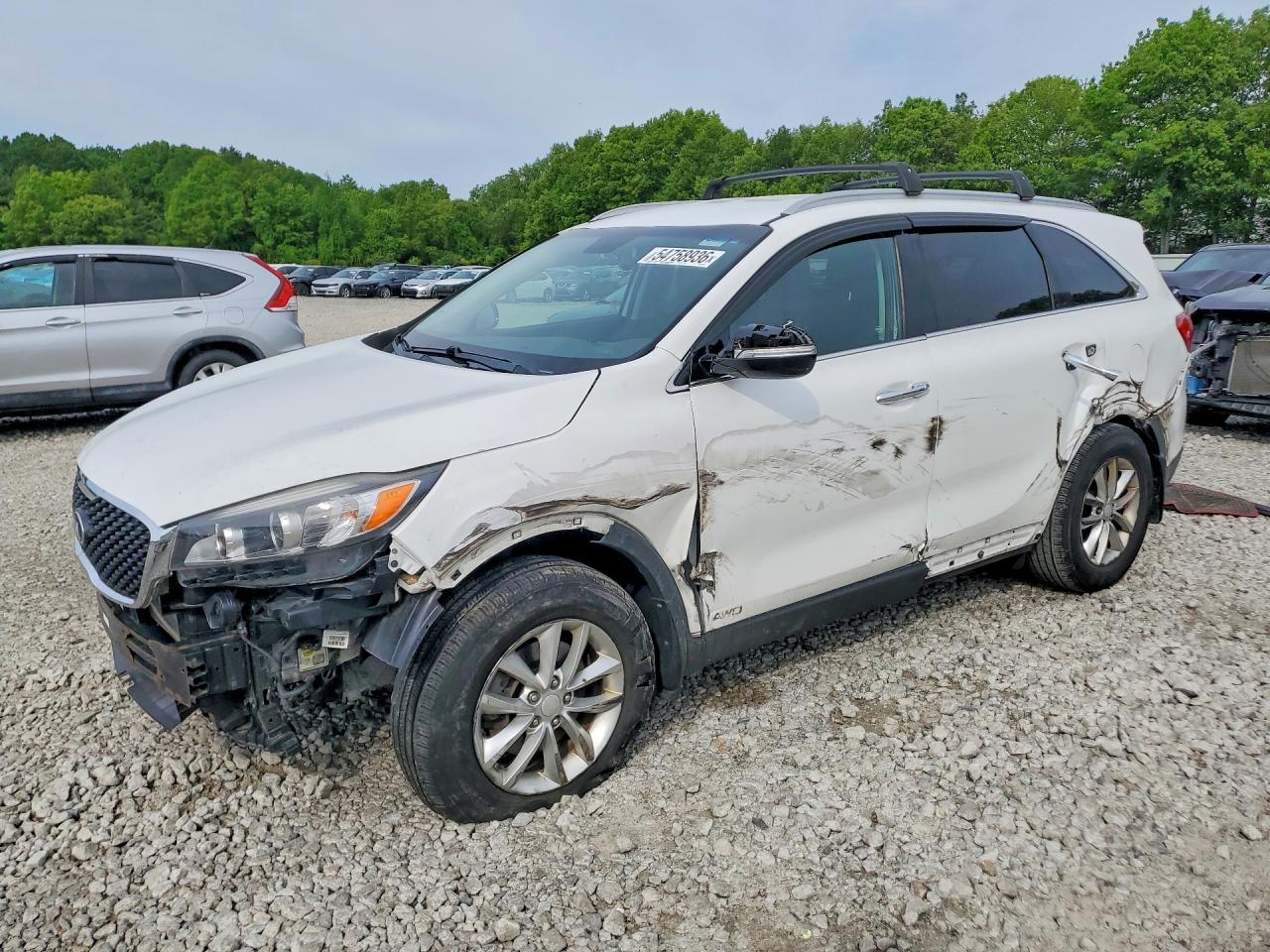 Salvage Kia Sorento Image