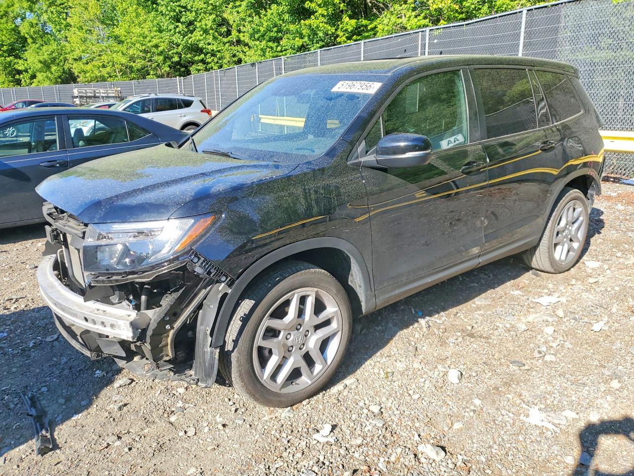 Salvage Honda Passport Image