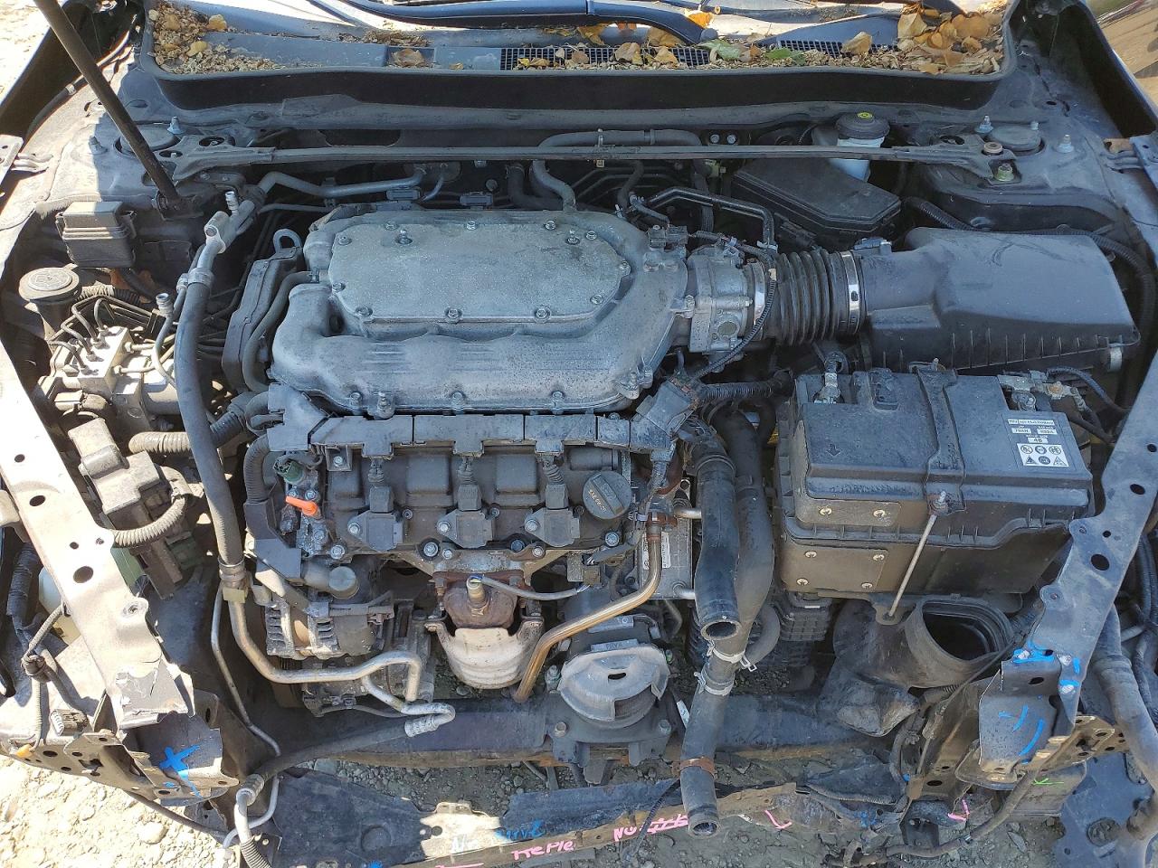 Acura TLX