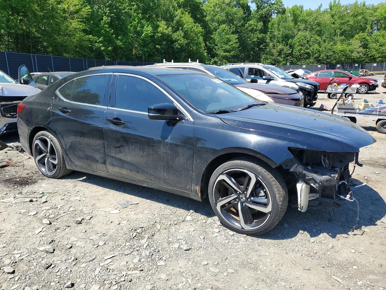 Acura TLX