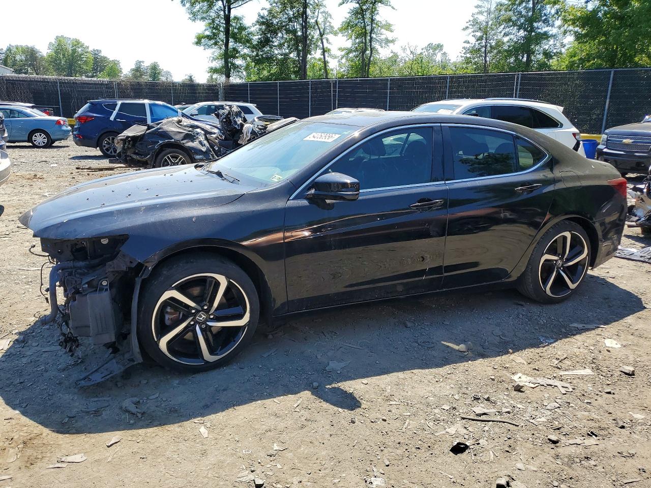 Salvage Acura TLX Image