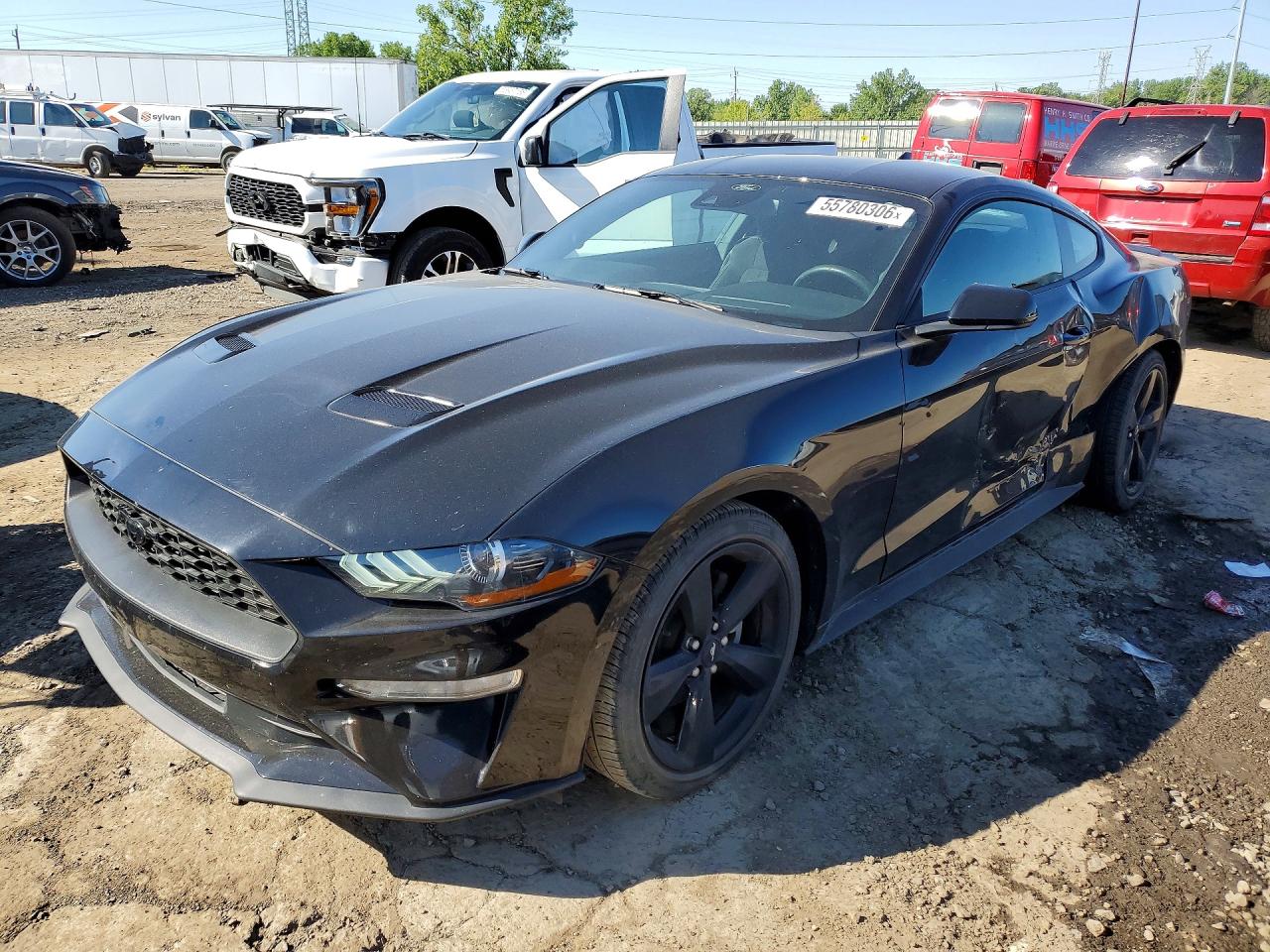 Salvage Ford Mustang Image