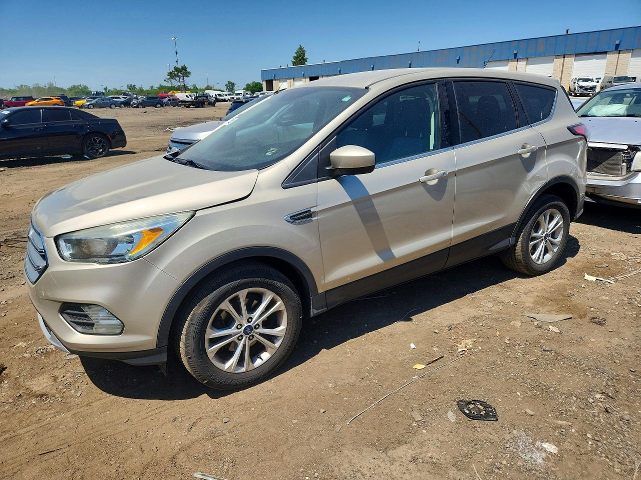 Salvage Ford Escape Image