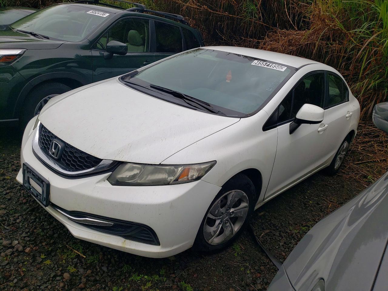 Salvage Honda Civic Image