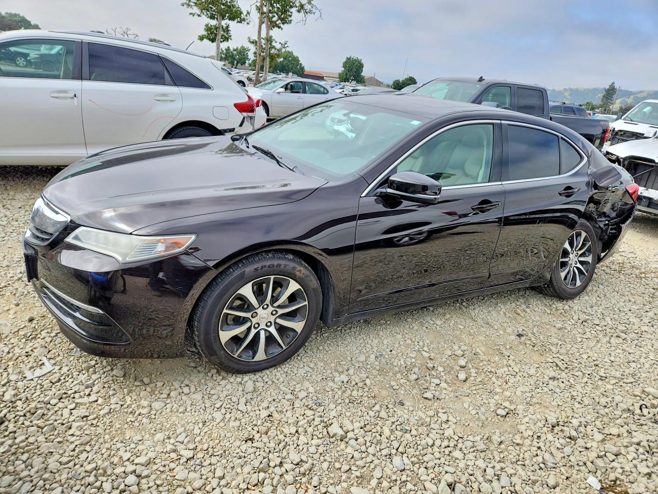 Salvage Acura TLX Image