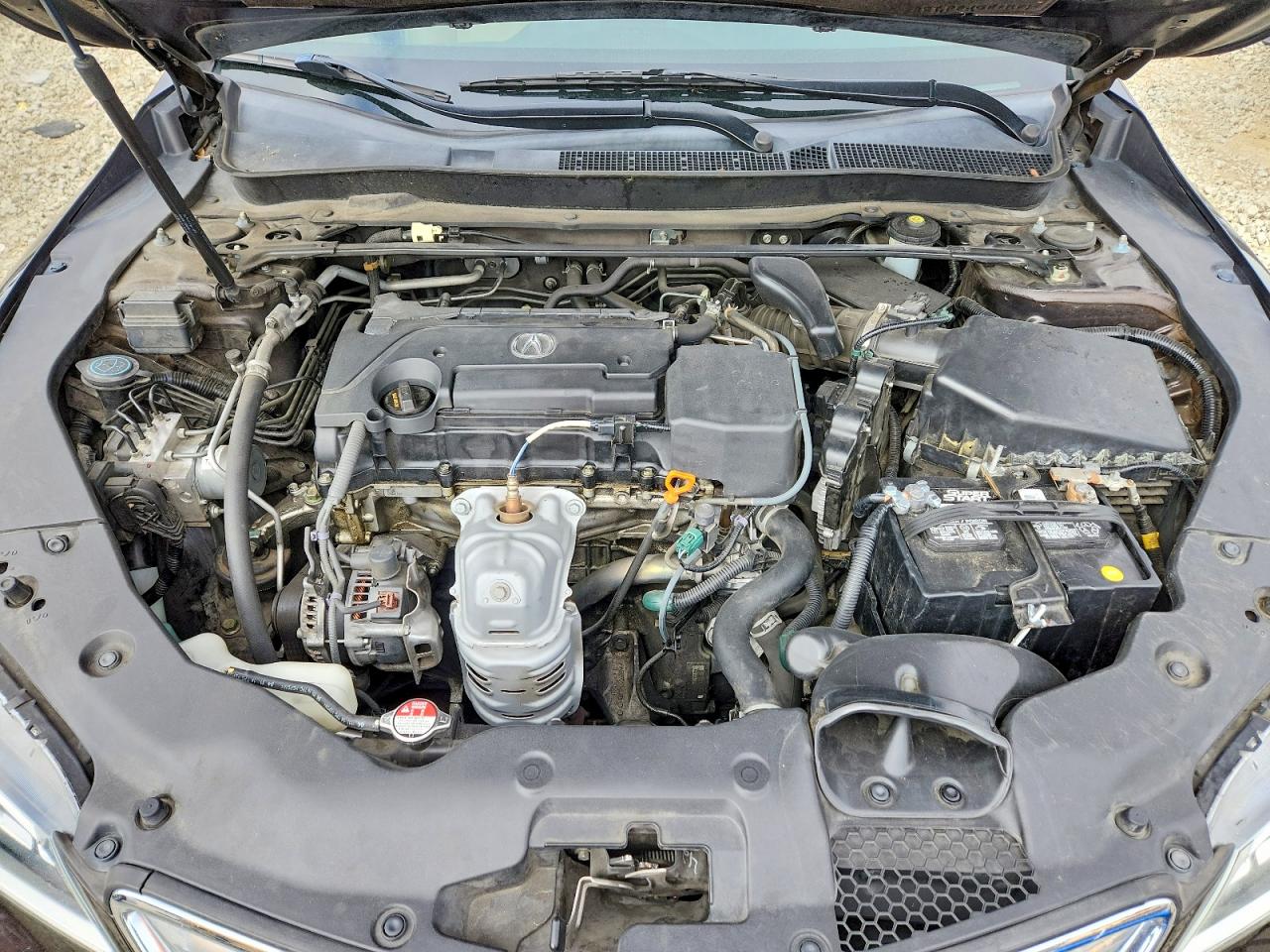 Acura TLX