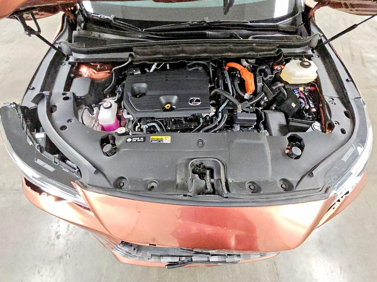 Lexus RX Luxury