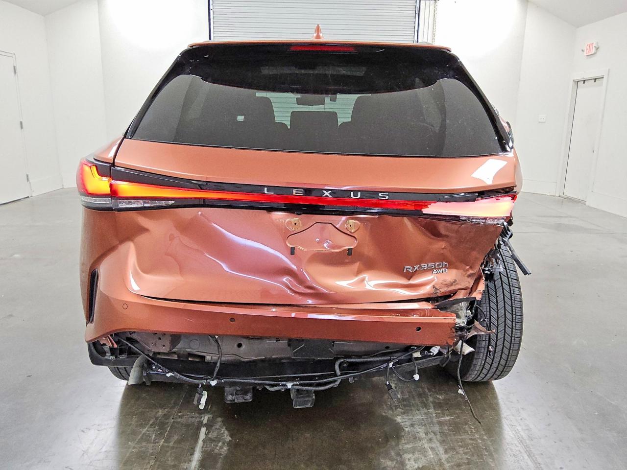 Lexus RX Luxury