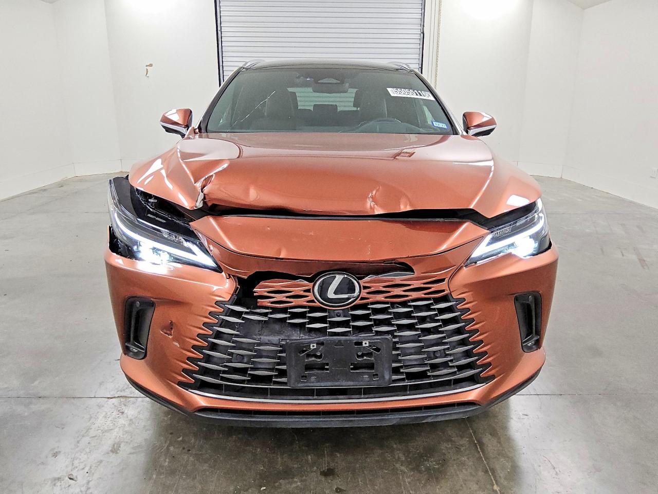 Lexus RX Luxury