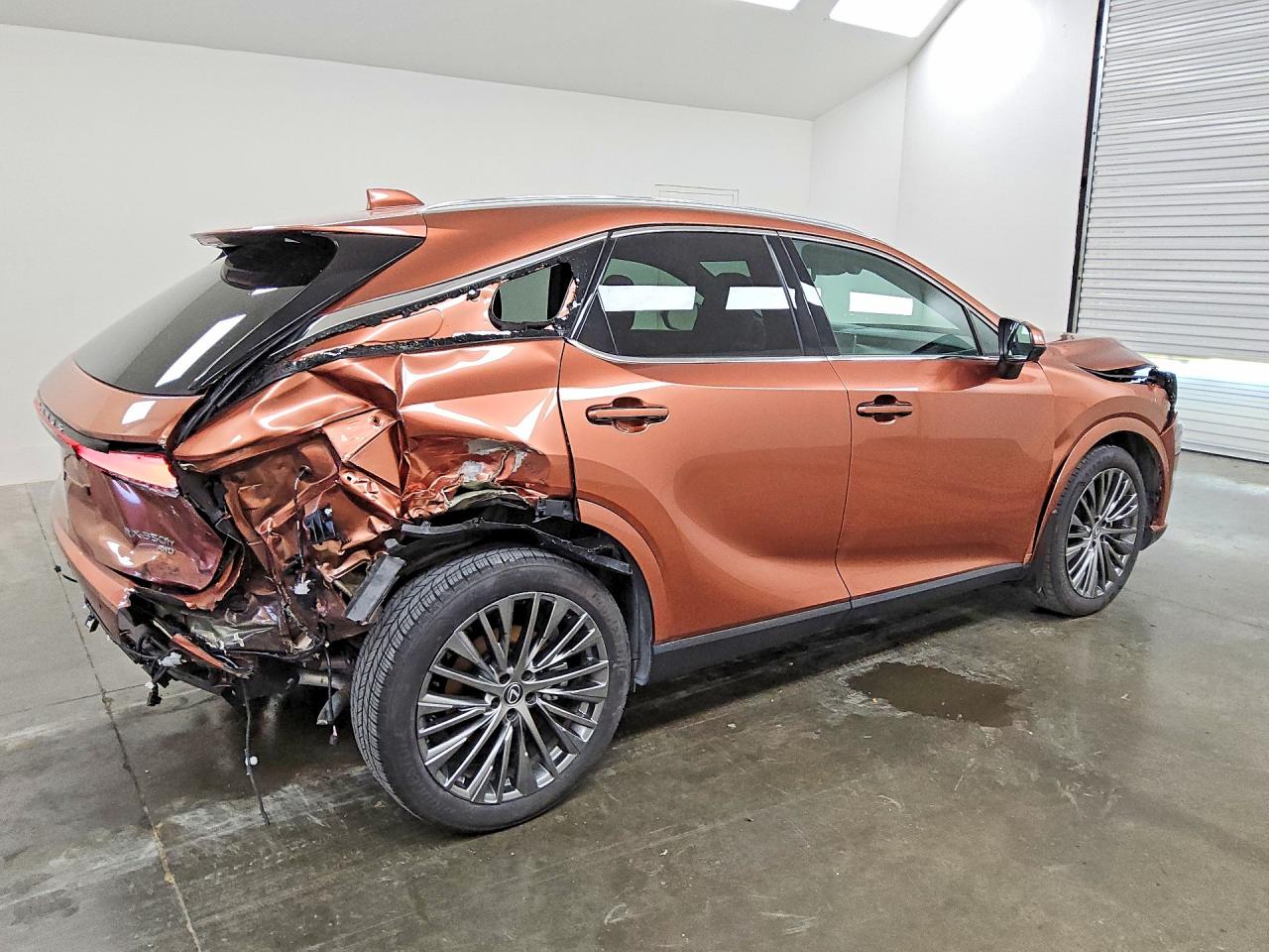 Lexus RX Luxury