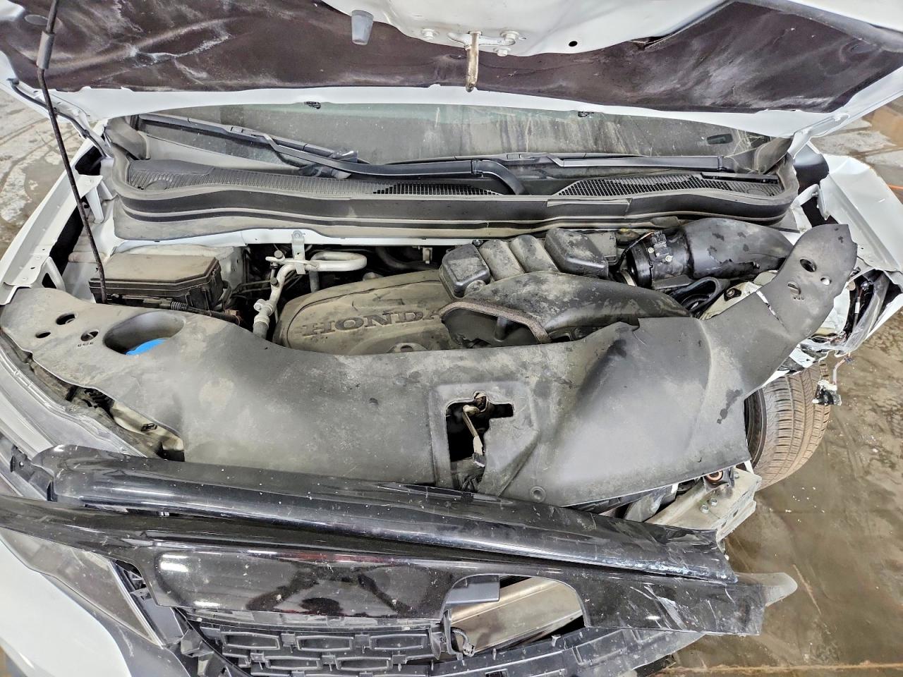 Honda Passport Exl