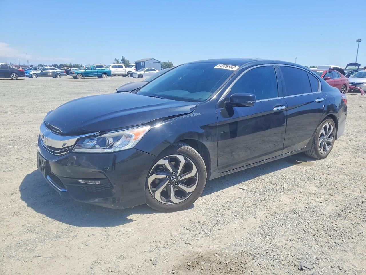 Salvage Honda Accord Image