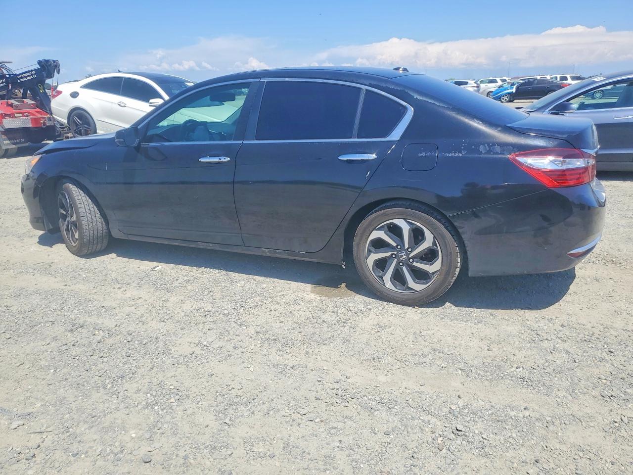 Honda Accord Exl