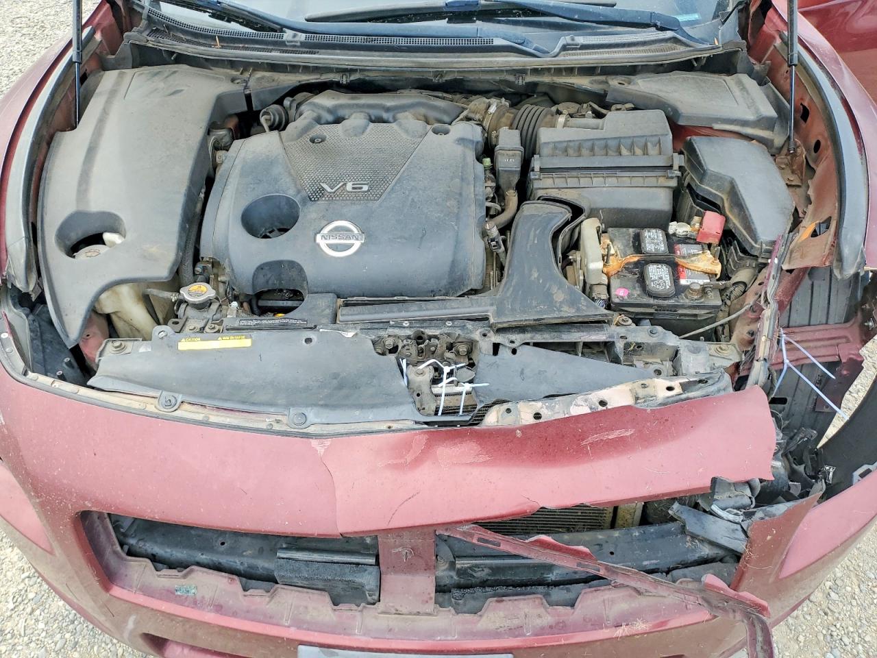 Nissan Maxima 3.5 S