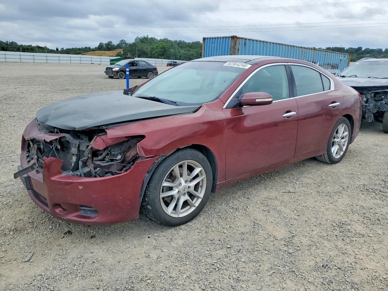 Salvage Nissan Maxima Image