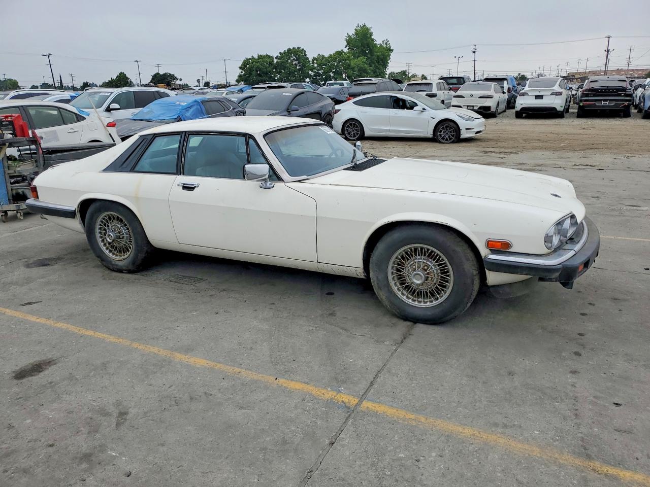 Jaguar Xjs