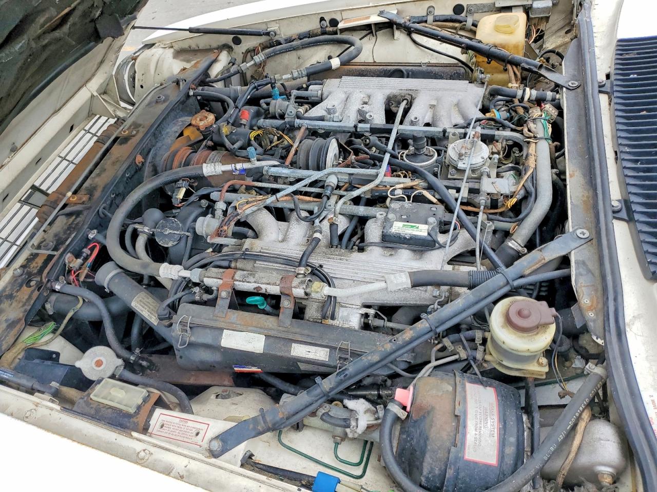 Jaguar Xjs