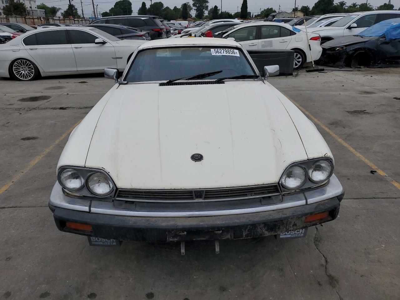 Jaguar Xjs