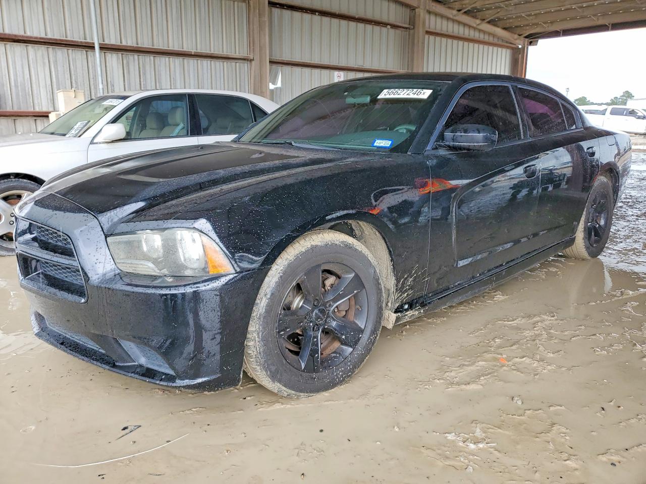 Salvage Dodge Charger Image