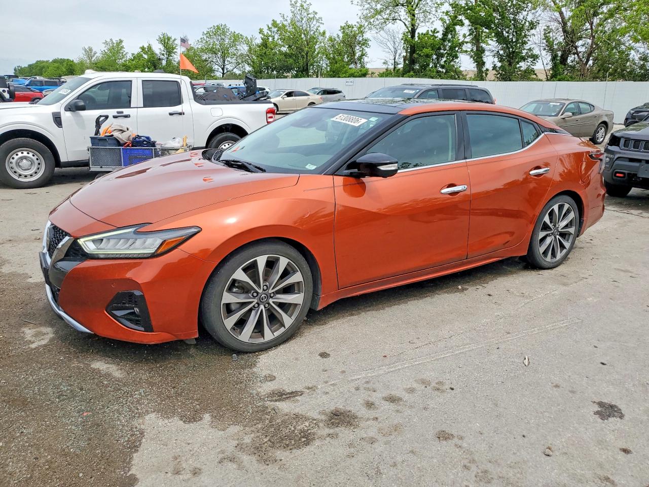 Salvage Nissan Maxima Image