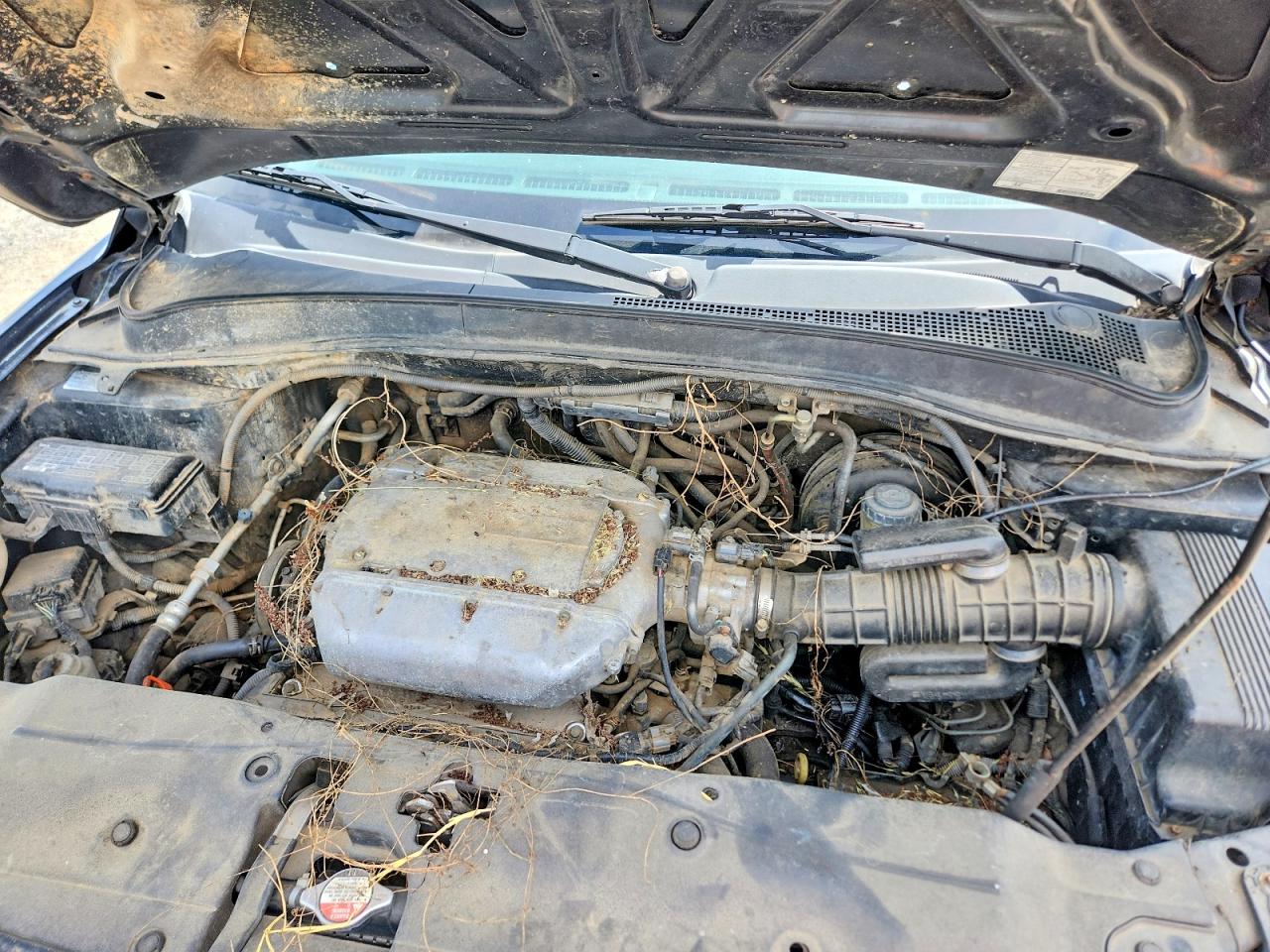 Honda Pilot Exl