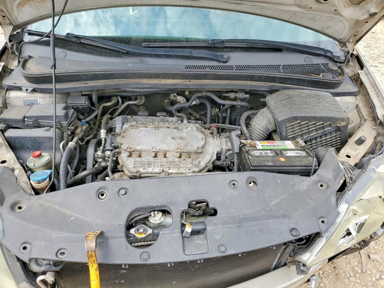 Honda Odyssey Exl