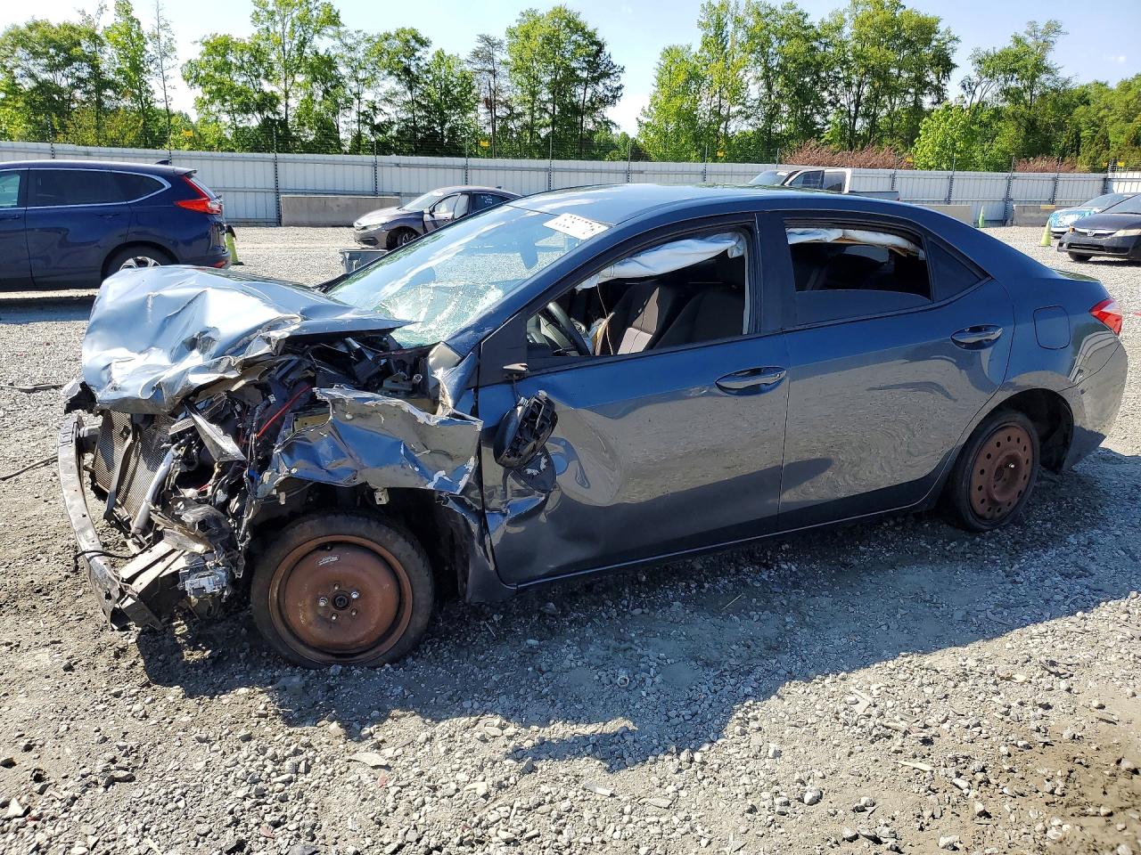 Salvage Toyota Corolla Image