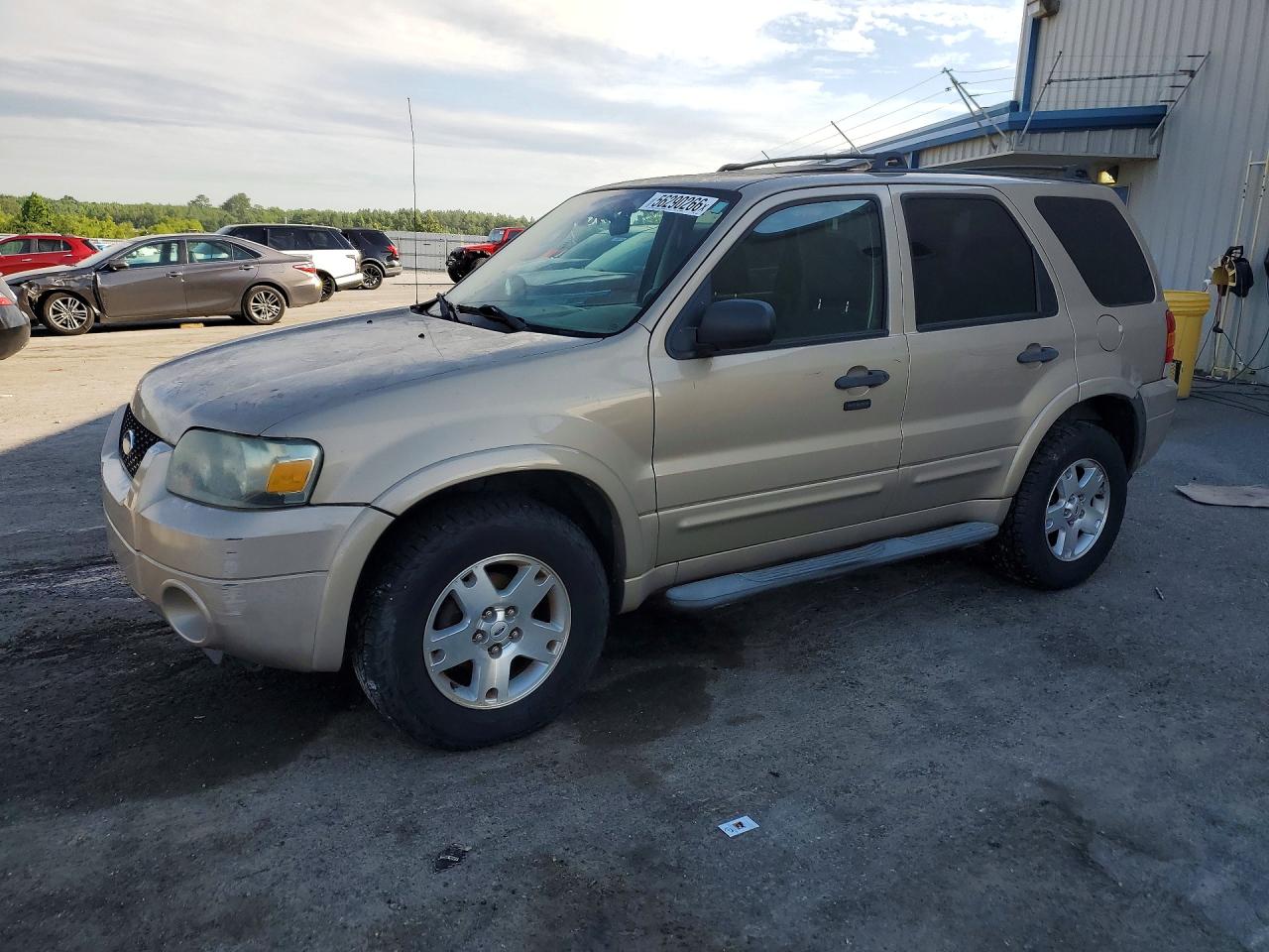Salvage Ford Escape Image