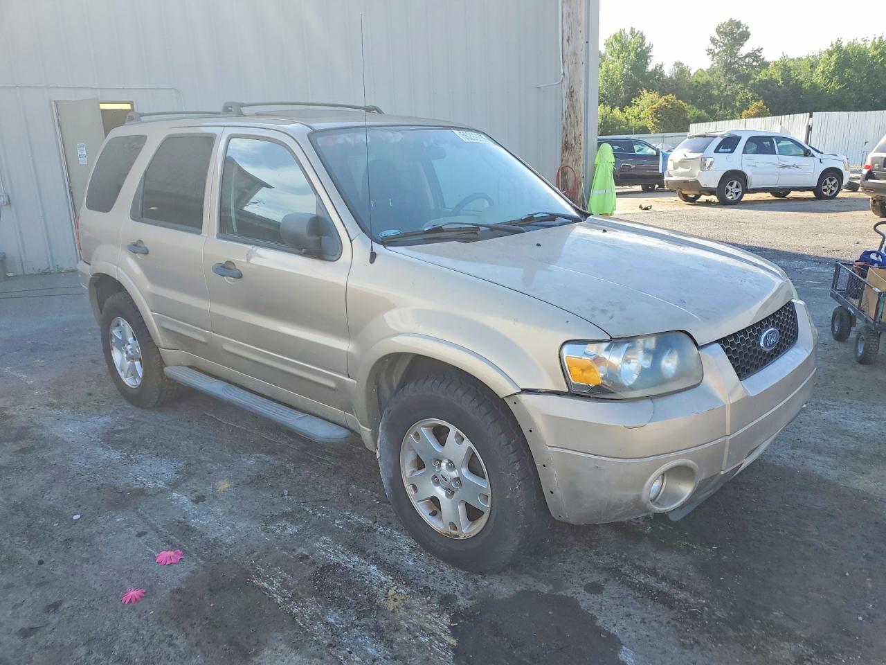 Ford Escape Xlt