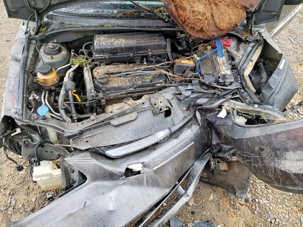 Kia Rio Base