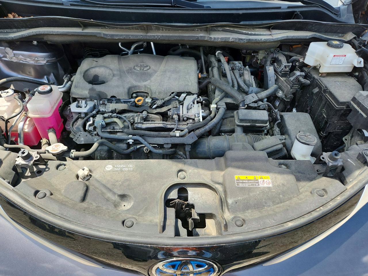 Toyota Sienna Xse