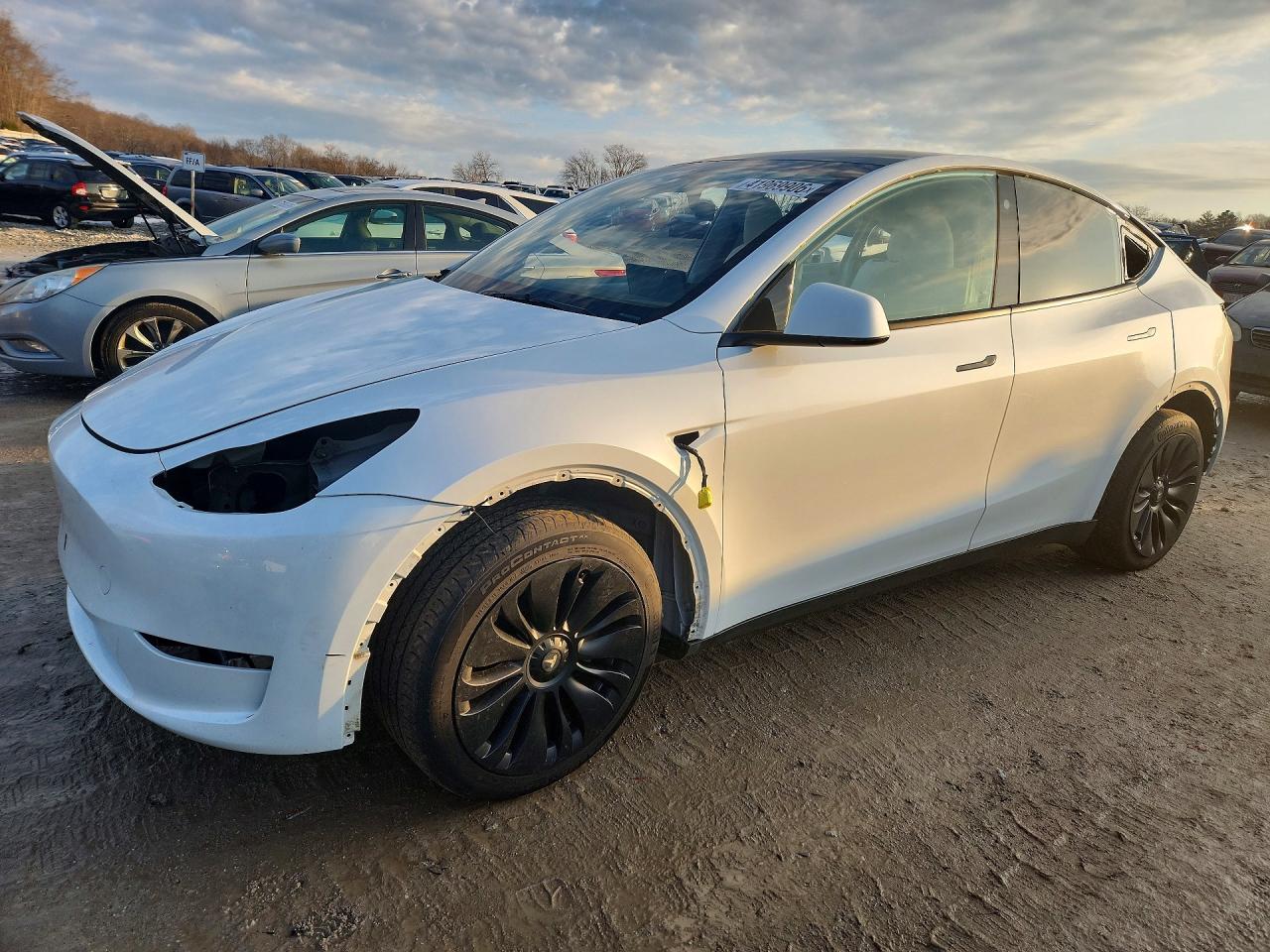 Salvage Tesla Model Y Image