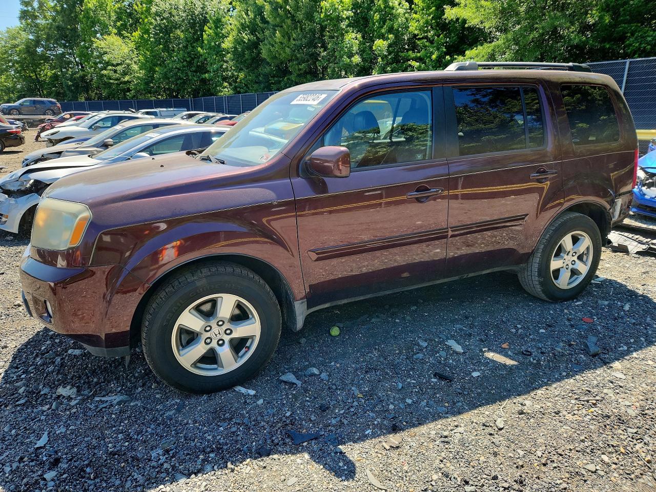 Salvage Honda Pilot Image