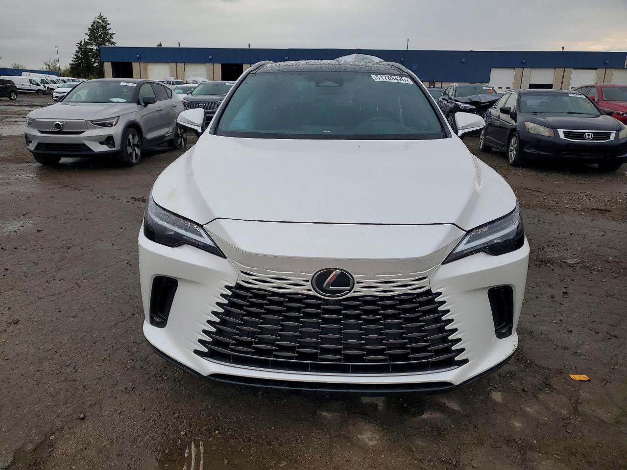 Lexus Other Premium+
