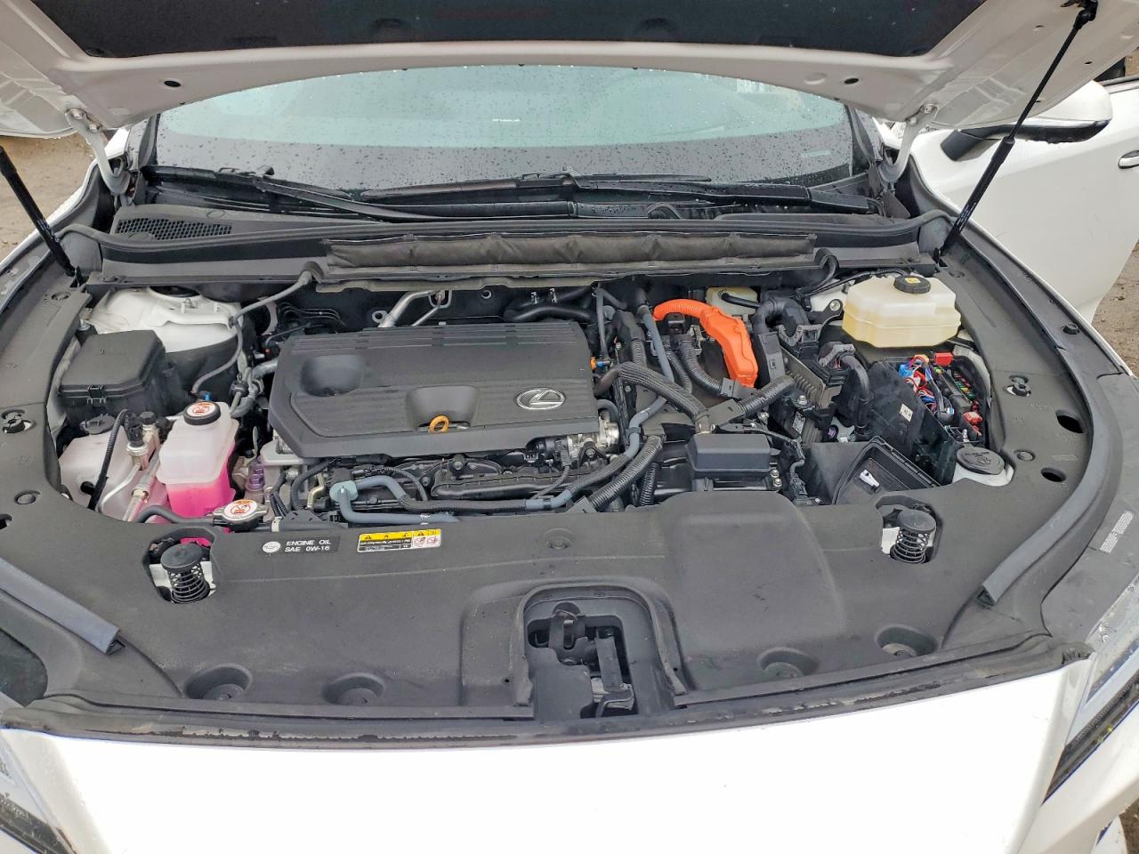 Lexus Other Premium+