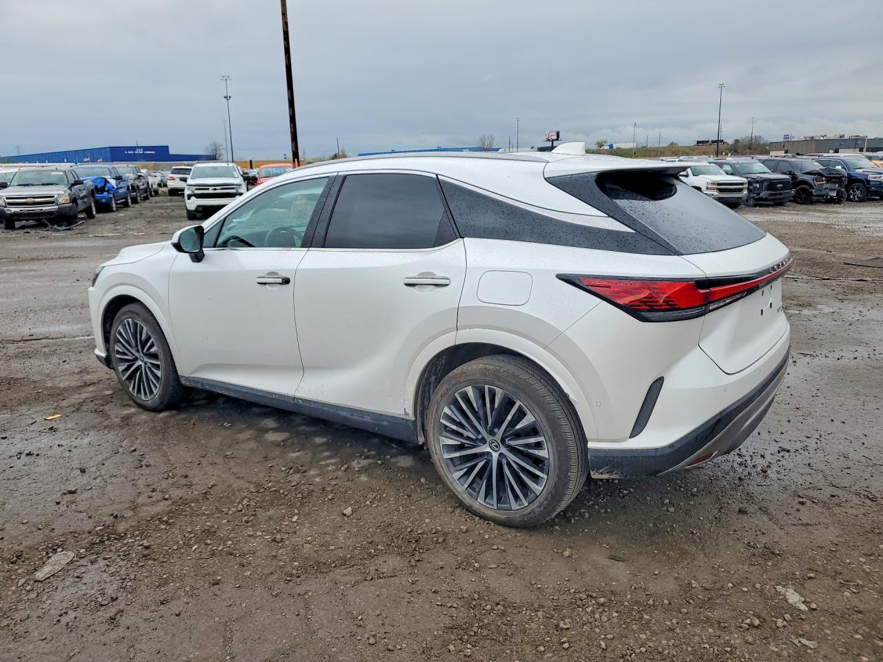 Lexus Other Premium+
