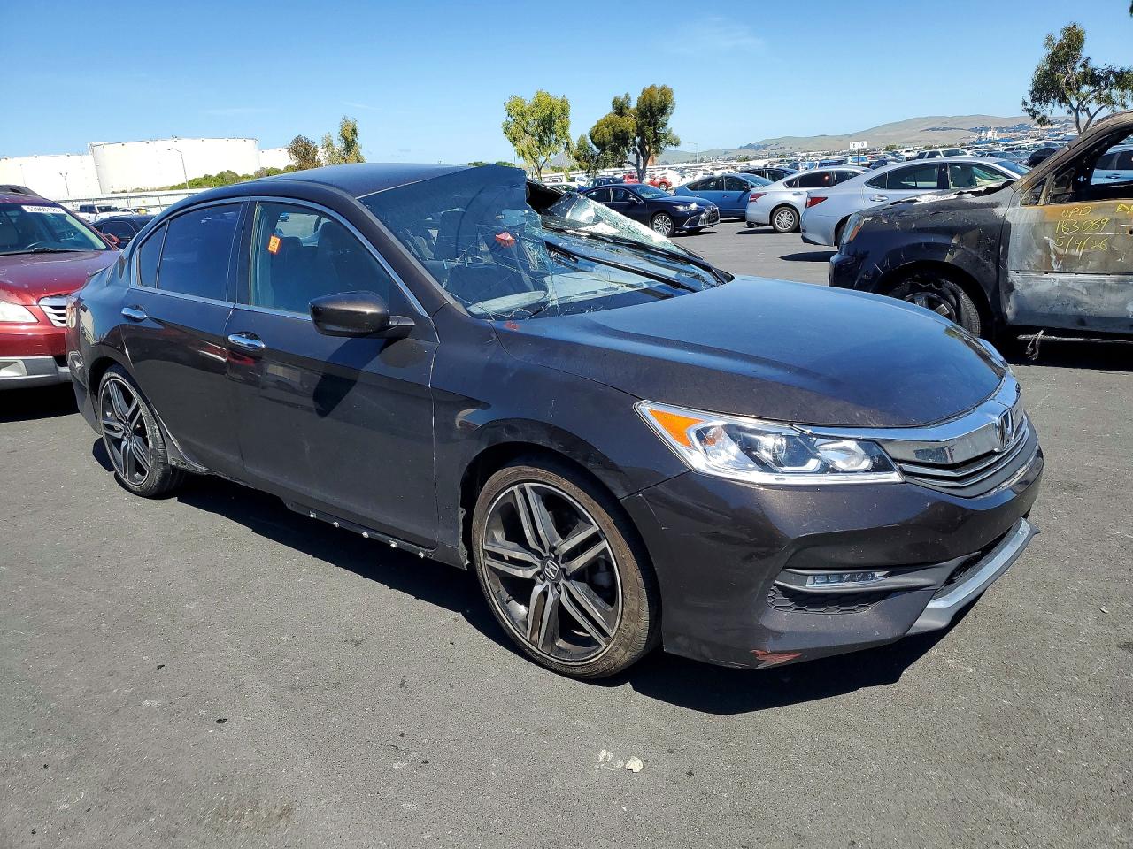 Honda Accord Sport