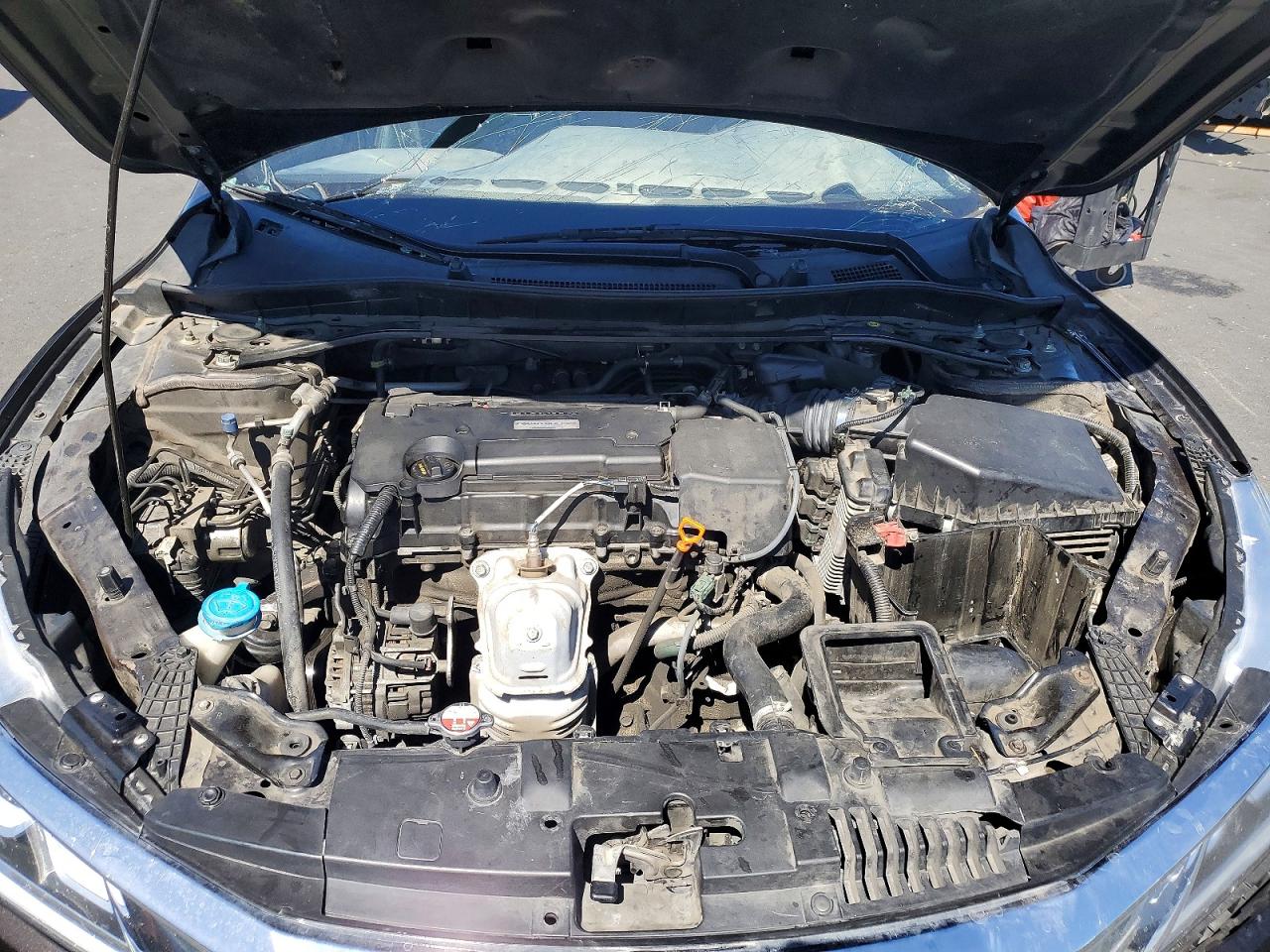 Honda Accord Sport