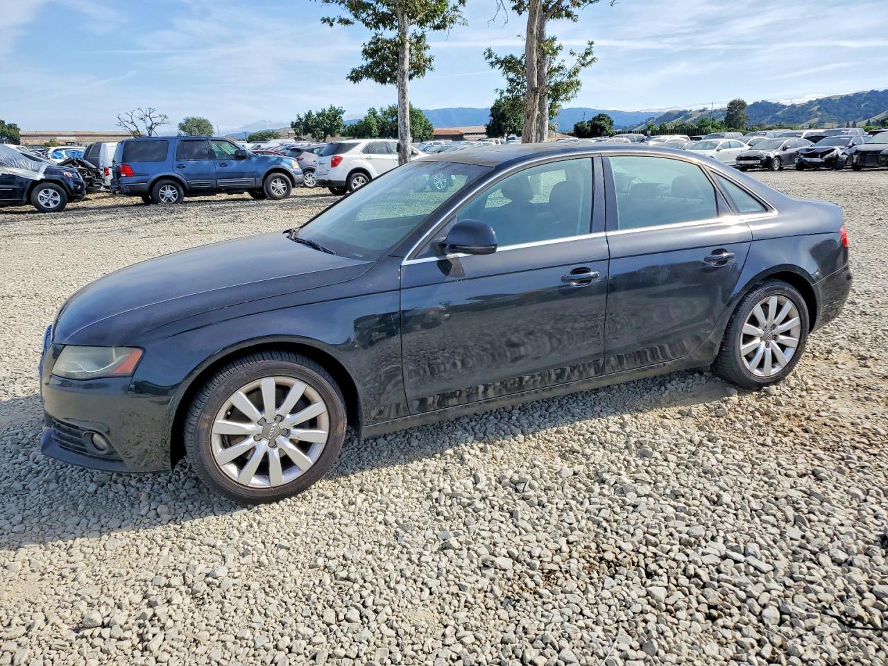 Salvage Audi A4 Image