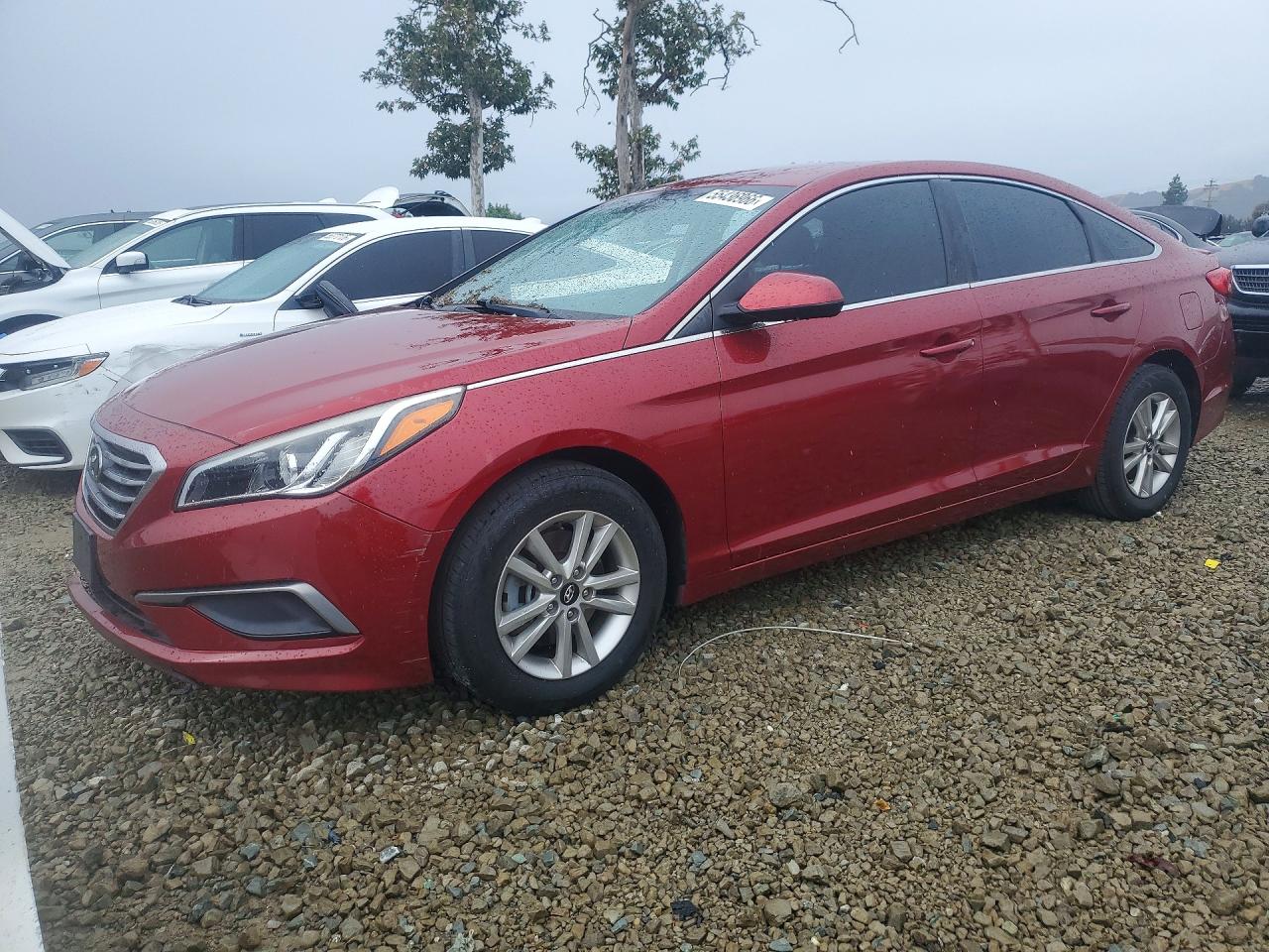 Salvage Hyundai SONATA Image